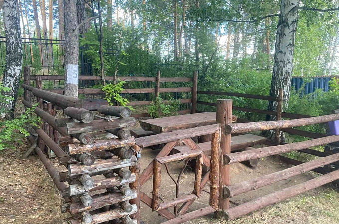 Зоны для пикника